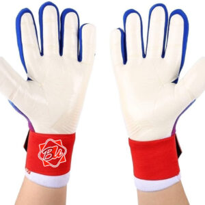 Goalkeeper Gloves